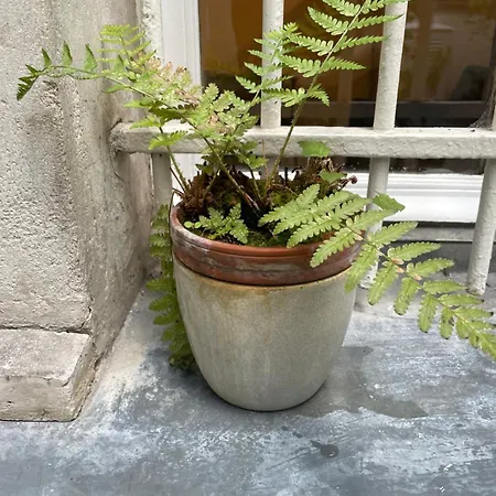 Cozy Near Marais On Rue Trousseau