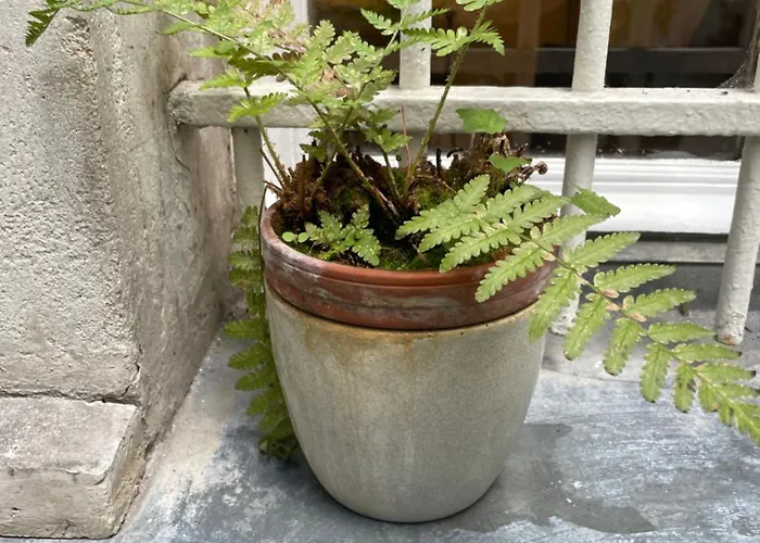 Cozy Near Bastille & Marais